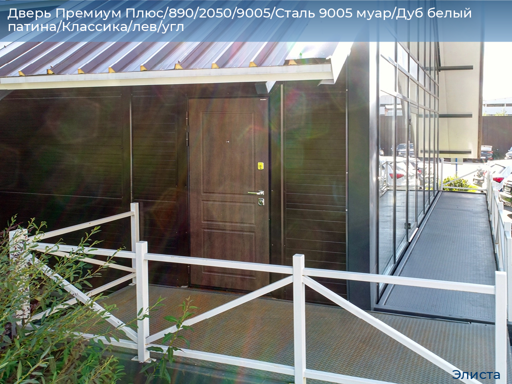 Дверь Премиум Плюс/890/2050/9005/Сталь 9005 муар/Дуб белый патина/Классика/лев/угл, elista.doorhan.ru