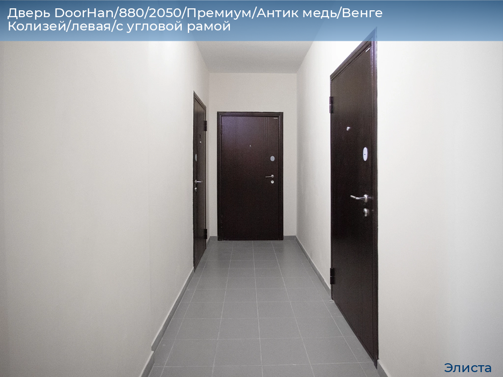Дверь DoorHan/880/2050/Премиум/Антик медь/Венге Колизей/левая/с угловой рамой, elista.doorhan.ru