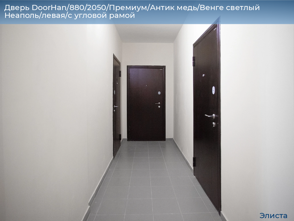 Дверь DoorHan/880/2050/Премиум/Антик медь/Венге светлый Неаполь/левая/с угловой рамой, elista.doorhan.ru