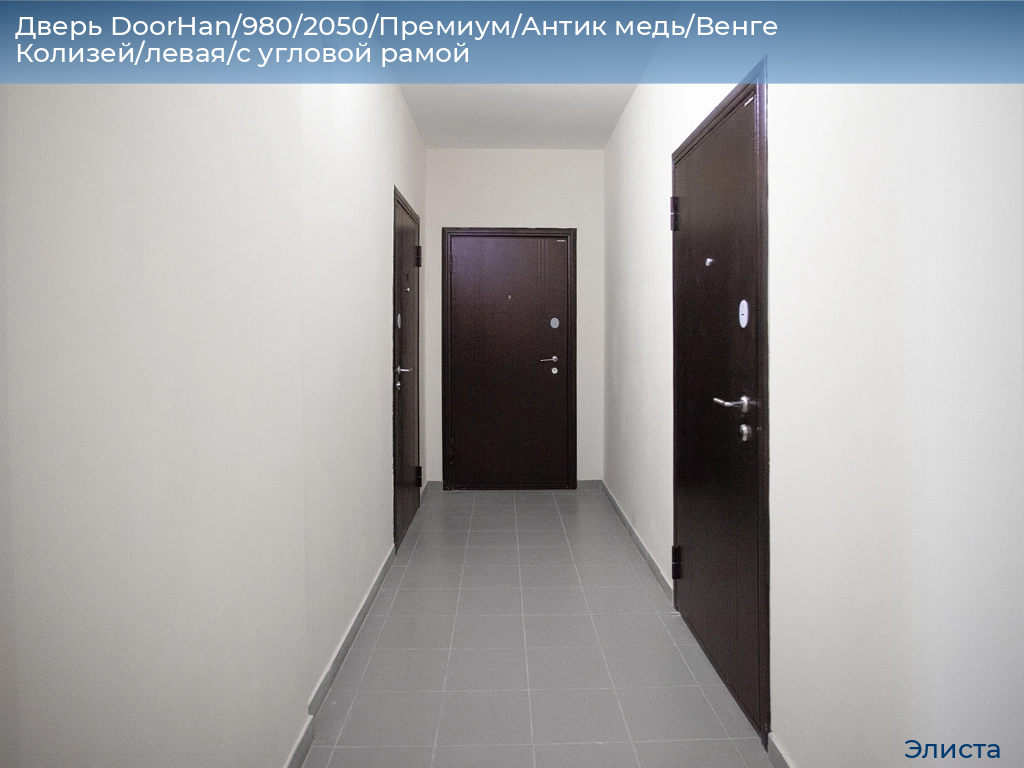 Дверь DoorHan/980/2050/Премиум/Антик медь/Венге Колизей/левая/с угловой рамой, elista.doorhan.ru
