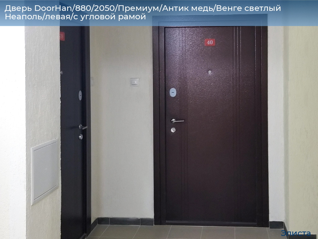 Дверь DoorHan/880/2050/Премиум/Антик медь/Венге светлый Неаполь/левая/с угловой рамой, elista.doorhan.ru